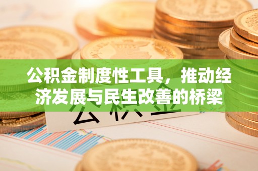 剑阁公积金制度性工具，推动经济发展与民生改善的桥梁