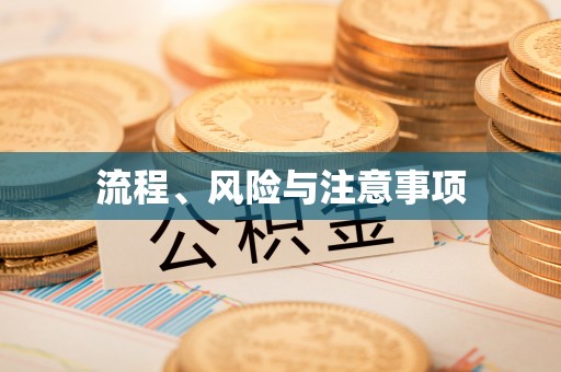 剑阁流程、风险与注意事项